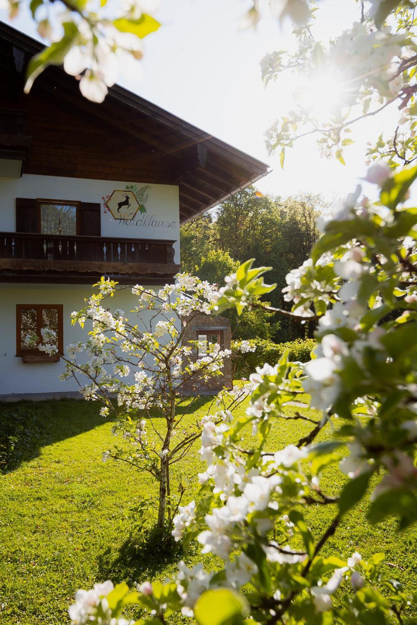 Ferienwohnung Mankei Шенау-ам-Кенігсзе Екстер'єр фото