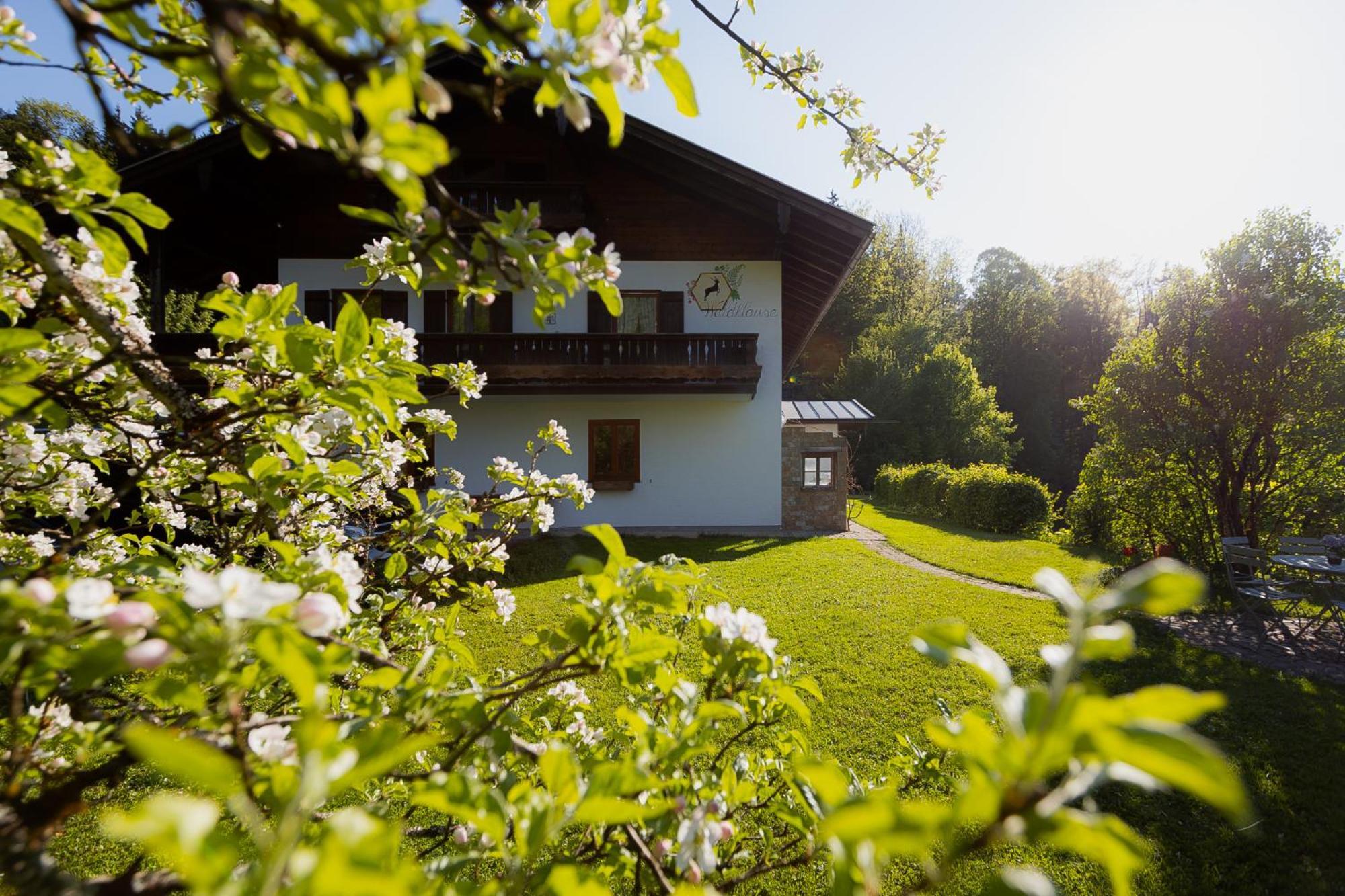 Ferienwohnung Mankei Шенау-ам-Кенігсзе Екстер'єр фото